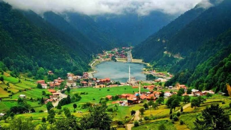 images - 2025-10-26T161040.153