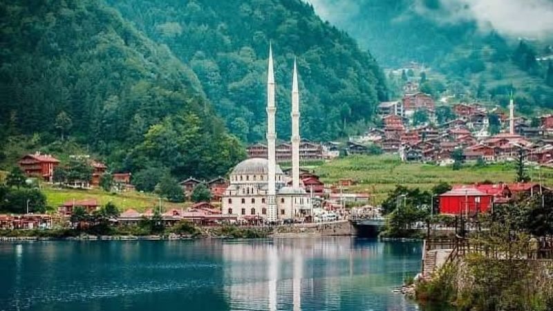 images - 2025-10-26T161055.891